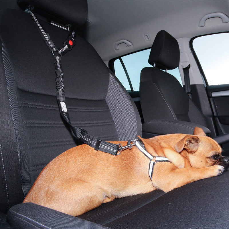 Seatbelt Secured Car Leash