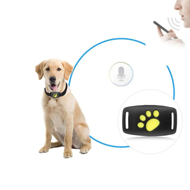 Pet GPS Tracker Collar