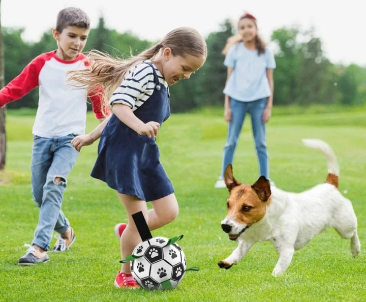 Soccer Ball Pet Toy